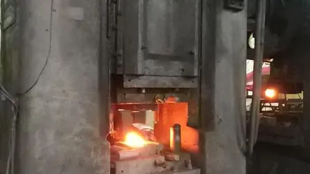 Customized All Kinds of Products of Machining Forging Parts 