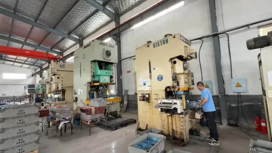 Direct Sale From Manufacturer Precision Stainless Steel and Aluminum Alloy Die Casting Services 